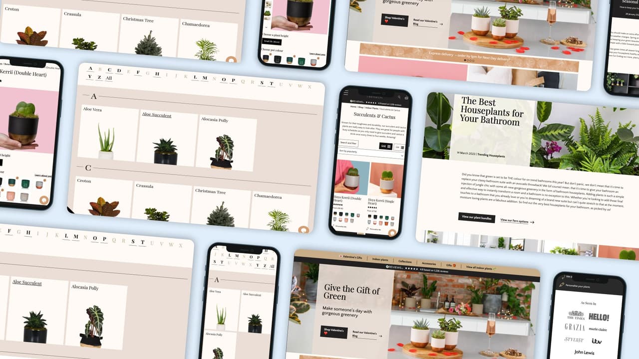 Collage of pages from the TLB website on desktop and mobile