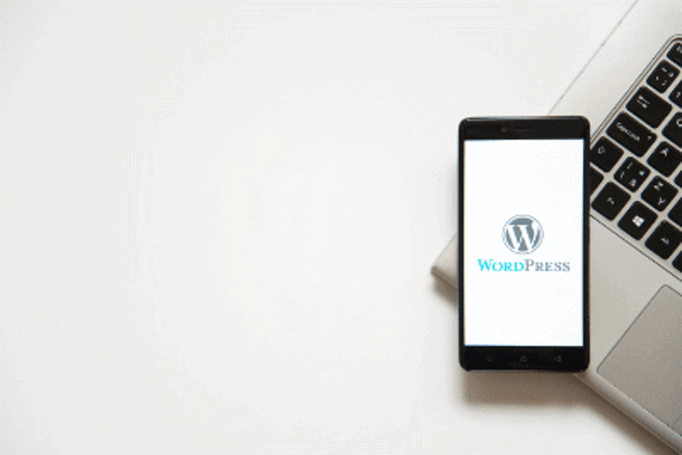 Protecting your WordPress site: why website security is paramount