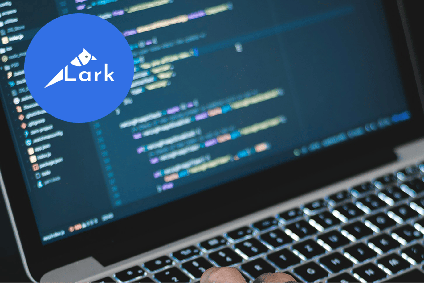 Lark: a bespoke, flexible WordPress starter solution