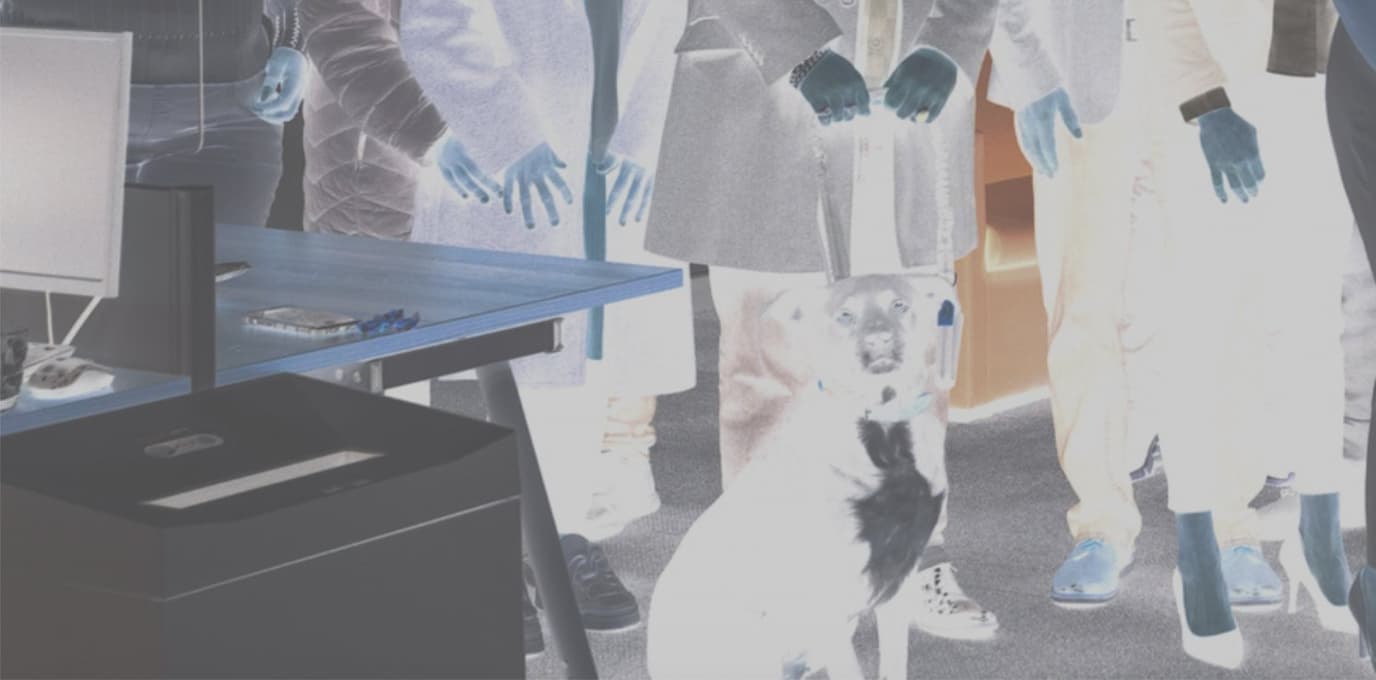 Accessibility overlays and plugins: why they don’t fix accessibility issues