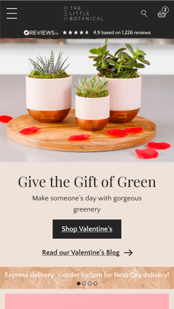 Image features three potted plants in varying sizes, each with a smooth white ceramic pot and a brown base. The pots contain green succulents and are arranged on a wooden surface. Surrounding the pots are scattered rose petals. Text overlay promotes gifting plants for Valentine's Day, encouraging customers to shop and read the blog.