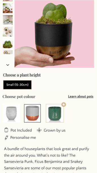 Image of a hand holding a small potted plant with heart-shaped leaves, placed in a stylish black and gold pot. The background features options for plant height and pot colour, with icons for pot inclusion and personalisation. The text highlights a selection of popular houseplants that improve indoor air quality.