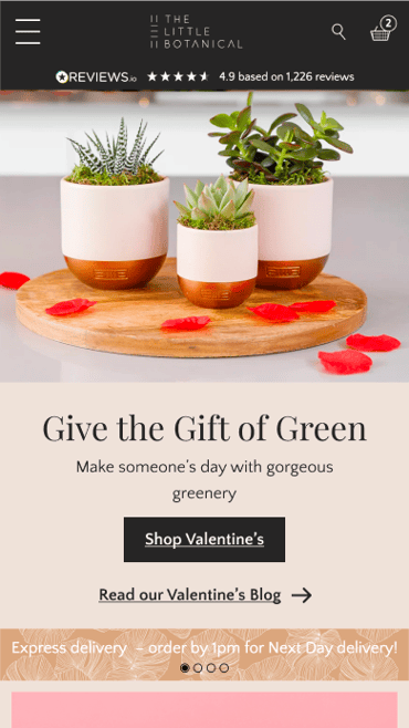 Image features three potted plants in varying sizes, each with a smooth white ceramic pot and a brown base. The pots contain green succulents and are arranged on a wooden surface. Surrounding the pots are scattered rose petals. Text overlay promotes gifting plants for Valentine's Day, encouraging customers to shop and read the blog.