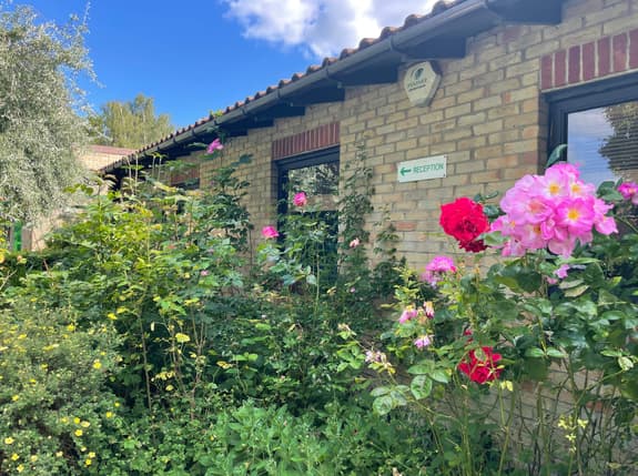 A brick building with a tiled roof is partially visible on the left side of the image. The building features a large window and a sign reading "RECEPTION" pointing left. Surrounding the building are lush green plants and an array of colourful flowers, including pink and red roses. The sky is bright blue with a few fluffy clouds, and there are trees in the background, adding to the serene atmosphere of the scene.