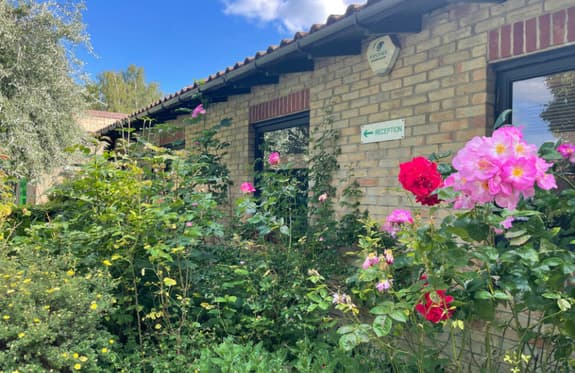 A school building is shown from the outside with a sign on it saying 'reception' pointing left. There are lots of plants and roses in front of the building and there is blue sky behind it.