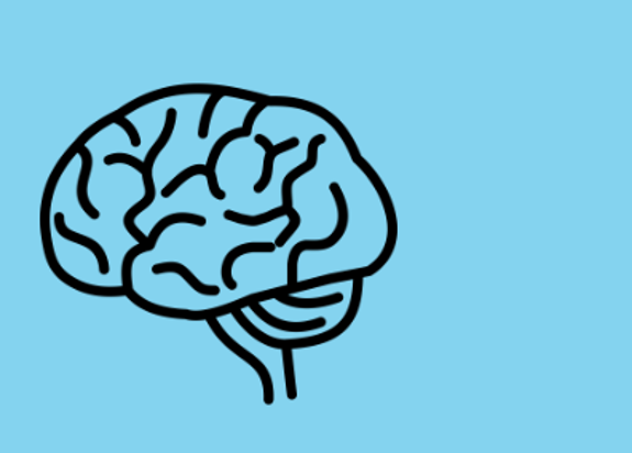 A blue background with a black illustrated brain on it.