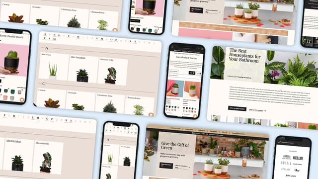 Collage of pages from the TLB website on desktop and mobile