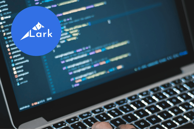 Lark logo overlaying code on a laptop screen - the Lark logo is a blue circle with a bird illustration around the L of large. Wordpress website design agency​