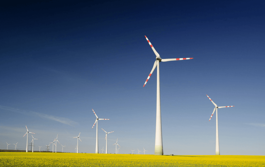 Digital sustainability – using data to find solutions