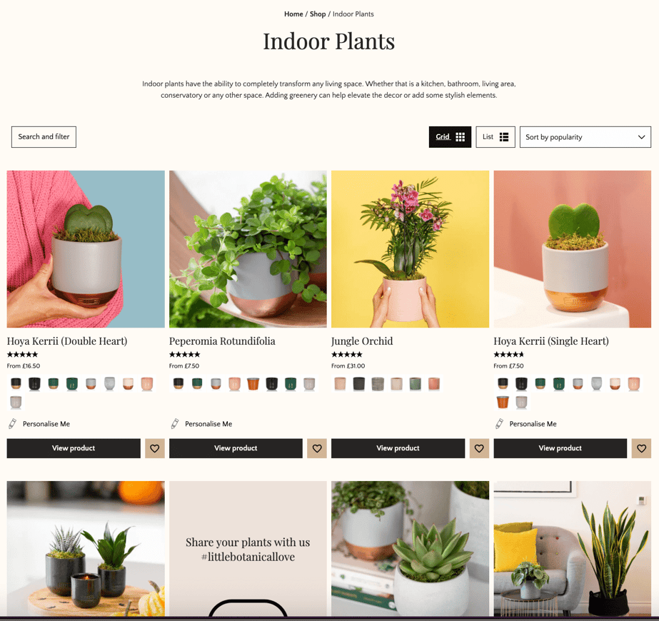 Your eCommerce site is live. What now?