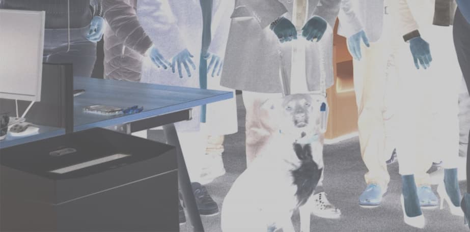 Accessibility overlays and plugins: why they don’t fix accessibility issues